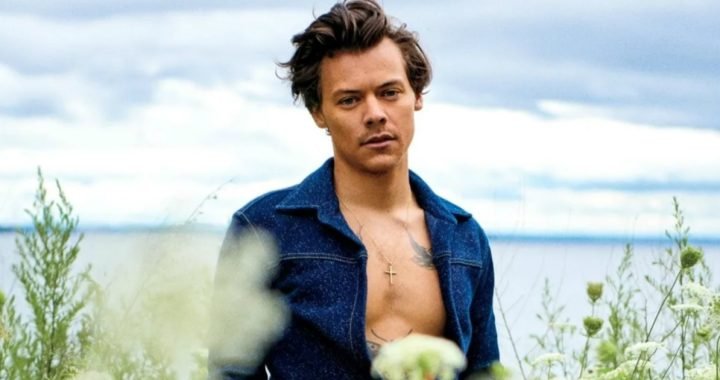 ¡AAAAAAA! Harry Styles llega por primera vez al Perú en noviembre