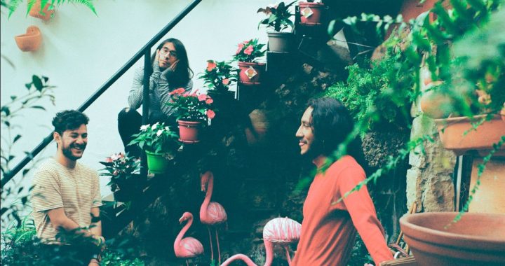 Nopal siembra un jardín de “Pensamientos” para escapar de la tristeza