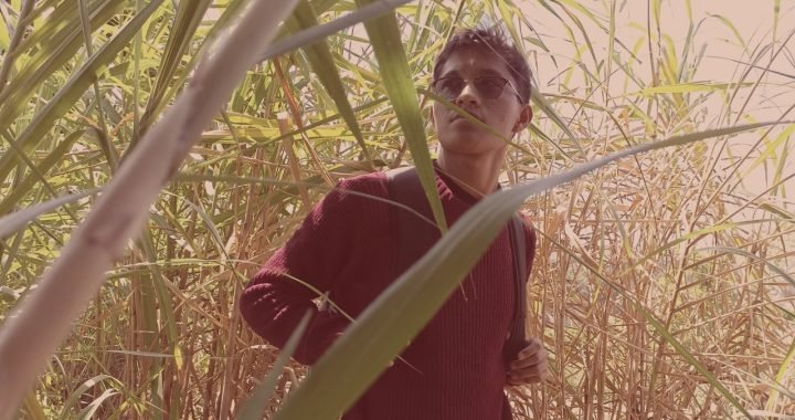 Colorázar: Un tributo al genio de la literatura latinoamericana por Astrod pop