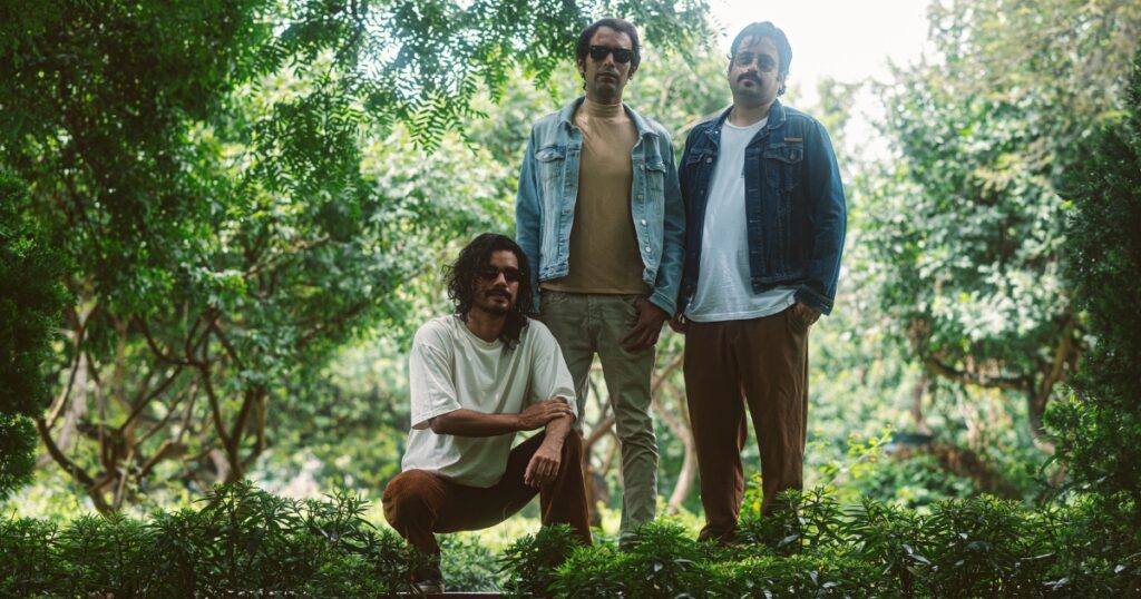 los-ficus-amor-revolucion-single